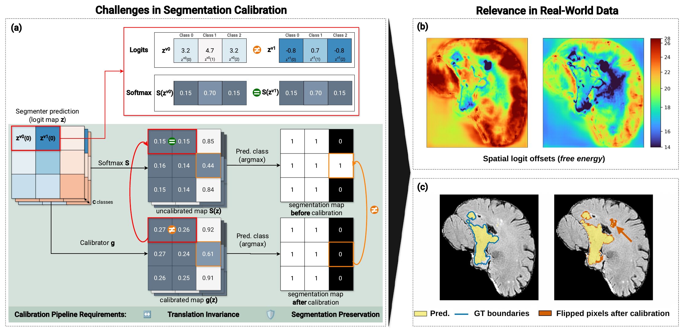 Figure 1 of the paper: (a) logits that differ by a constant give the same softmax, yet a calibrator can return different outputs, and calibration can flip the argmax; (b) spatial maps of logit free energy for two segmenters; (c) a brain-tumour example where calibration flips pixels at the tumour boundary.